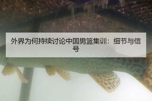 外界为何持续讨论中国男篮集训：细节与信号